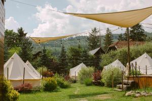 Valea Doftanei Glamping