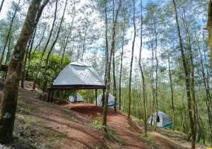 Pine Encamp with Pool by Voye Homes - Mannārakkāt