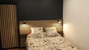 superbe appartement T2 proche de vulcania - Prondines