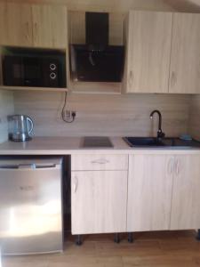 Domki Nad Stawem Mazury D1