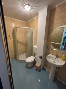 Hypnotic Villa Pitesti