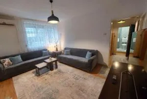 City Center Apartment - 米特罗维察