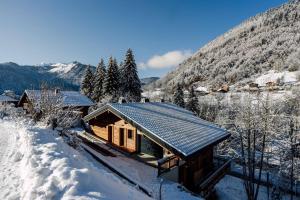 Chalets Les Petits Ours Montriond superbe 8 14 personnes : photos des chambres