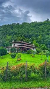 B&B AlbaChiara - Serretto