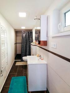 Haus am See in Vonyarc