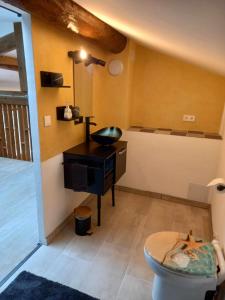 Maison Neuve Parc Naturel livradois Forez Animal accepté