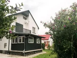 Haus am See in Vonyarc - 沃尼奥尔茨沃什海吉