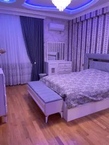 Ilqar Company - Şubanı