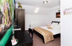 Casa Stejarul Lui Andrei