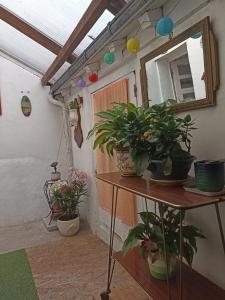 Maisons de vacances Petite Cherie : photos des chambres