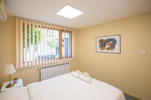 Bright 1BDR Apartment in Top Center