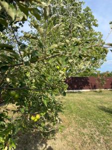 Agropensiunea Anotimpuri