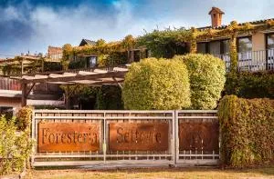 塞泰维耶宾馆 - 特雷伊索