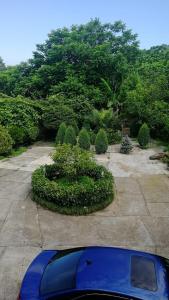 დასასვენებელი სახლი ორთაბათუმში Holiday house in Ortabatum Дом для отпуска в Ортабатуме