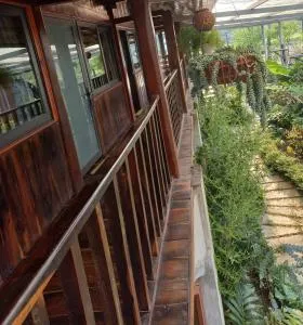 K50 Waterfall Village - Homestay Măng Đen - Ba Tơ