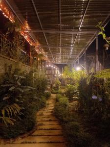 K50 Waterfall Village - Homestay Măng Đen