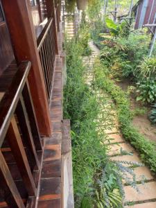 K50 Waterfall Village - Homestay Măng Đen