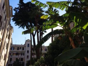 Il Cortile - Appartamento nel cuore di Testaccio