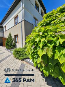 365PAM - Viento z Ogrodem i Grillem