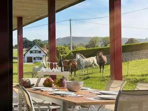 Vela Bianca - 12807 - Ajo