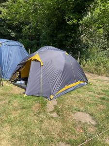 Tents @ Tomorrowland