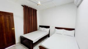 Coconut Leaf Shadow Guest