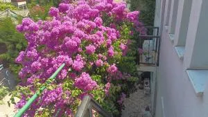 Zagradge IN Apartments - Zagrađe