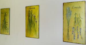 Appartements Billard : photos des chambres
