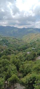 Ekant homestay mukteshwar road Chakhuta near kasiyalekh market