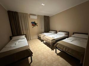 Birds Hostel