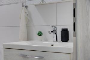 Apartment Leda with private parking
