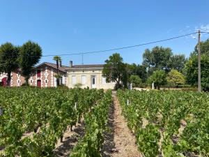 Maisons de vacances Maison de charme au coeur du vignoble medocain avec un Spa : photos des chambres