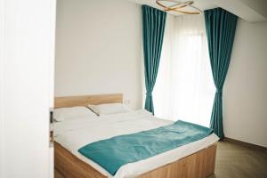 Pensiunea Apateu 167