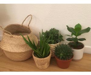 Maison avec piscine sur le golf - plage à 600m