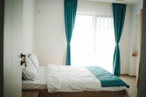 Pensiunea Apateu 167