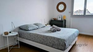 Appartements Elegant Appartement au Coeur de Redon : photos des chambres