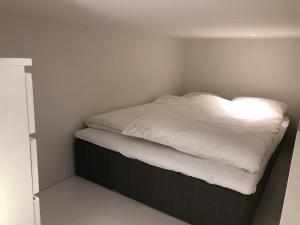 Rummelig Københavnerlejlighed