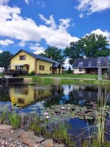 Pod Dębem - Okoninki