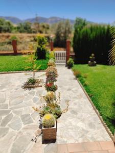 Casa Rural Las cuatro flores