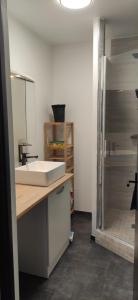 Appartements Appartement cosy et lumineux refait a neuf - Sainte-Foy les Lyon : photos des chambres