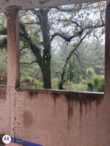 Casa Ecológica Pablo