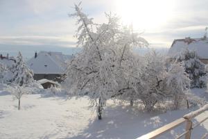 Maisons d'hotes le chemin du meunier : photos des chambres