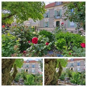 Appartements La Metairie au milieu des vignes : photos des chambres