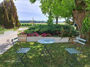 Appartements La Metairie au milieu des vignes : photos des chambres