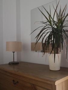 Plateia Sea View Apartment