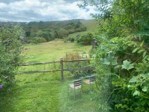 Spindle Tree Glamping near Brighton