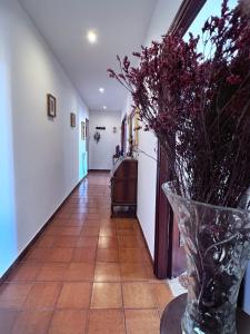 Sonia Trastevere apartment