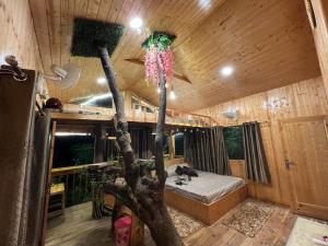 Chamba Valley Glamping