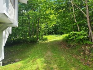 Ski In Ski Out Sunrise West Glade H2 - Direct Trailside, Hot Tub, Pool, Sauna