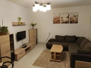 Apartmán Brdy - Kamenný Újezd